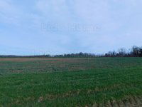 Eladó telek, Nemesbükön 6.5 M Ft / költözzbe.hu