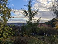 Eladó telek, Budaörsön, Naphegy utcában 110 M Ft