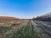 Eladó telek, Monoron 67 M Ft / költözzbe.hu