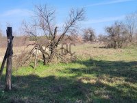 Eladó mezogazdasagi ingatlan, Csévharaszton 3.5 M Ft