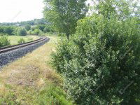 Eladó telek, Zalaegerszegen 20.296 M Ft / költözzbe.hu