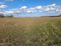 Eladó mezogazdasagi ingatlan, Ebergőcön 5.9 M Ft