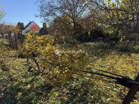 Eladó családi ház, Maglódon 100 M Ft, 3 szobás