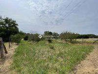 Eladó mezogazdasagi ingatlan