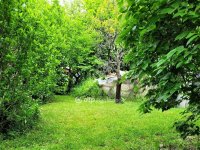 Eladó családi ház, Érden 99 M Ft, 3 szobás