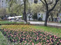 Eladó téglalakás, IX. kerületben, Dési Huber utcában 68.95 M Ft