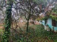 Eladó családi ház, Úrin 6 M Ft, 2 szobás / költözzbe.hu