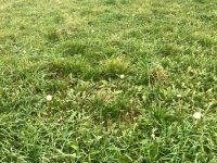 Eladó telek, Teskándon 13.2 M Ft / költözzbe.hu