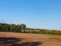 Eladó mezogazdasagi ingatlan, Ópusztaszeren 2.9 M Ft