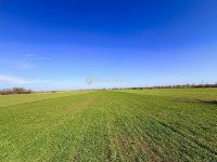 Eladó telek, Taksonyon 30 M Ft / költözzbe.hu