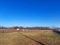 Eladó mezogazdasagi ingatlan, Sándorfalván 4.6 M Ft