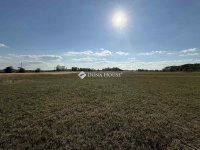 Eladó mezogazdasagi ingatlan, Orgoványon 79.9 M Ft, 3 szobás