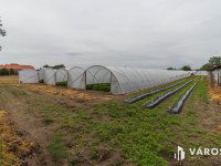 Eladó mezogazdasagi ingatlan, Zsombón 5.6 M Ft