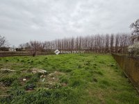 Eladó családi ház, Előszálláson 65 M Ft, 3 szobás