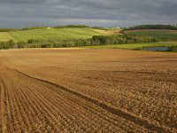 Eladó mezogazdasagi ingatlan, Hévízen 66 M Ft