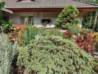 Eladó családi ház, Kecskeméten 134.99 M Ft, 4 szobás