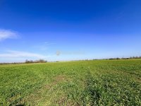 Eladó telek, Taksonyon 30 M Ft / költözzbe.hu