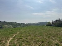 Eladó telek, Zalaegerszegen 29.5 M Ft / költözzbe.hu