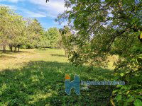 Eladó mezogazdasagi ingatlan, Zalaegerszegen 3 M Ft