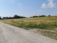 Eladó telek, Demjénben 7 M Ft / költözzbe.hu