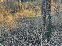 Eladó telek, XI. kerületben 260 M Ft / költözzbe.hu