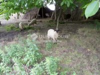 Eladó üzlethelyiség, Sükösdön 215 M Ft / költözzbe.hu