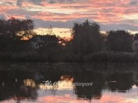 Eladó nyaraló, Dunaharasztin 64.5 M Ft, 1+1 szobás