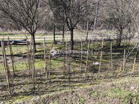 Eladó telek, Pellérden 4.5 M Ft / költözzbe.hu