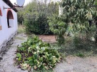 Eladó családi ház, Siklóson 11.6 M Ft, 2+1 szobás