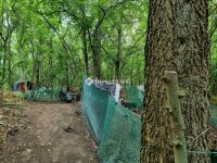 Eladó telek, Tóalmáson 7 M Ft / költözzbe.hu