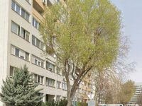 Eladó panellakás, XI. kerületben 64 M Ft, 2 szobás