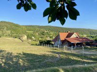 Eladó családi ház, Rezin 109 M Ft, 3 szobás