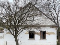 Eladó családi ház, Tüskeváron 27 M Ft, 6 szobás