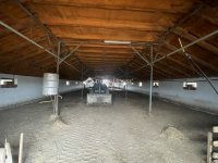 Eladó mezogazdasagi ingatlan, Domaszéken 160 M Ft