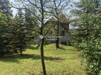 Eladó hotel, Zebegényben 440 M Ft, 16 szobás