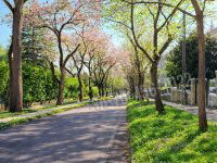 Eladó téglalakás, XII. kerületben 398 M Ft, 3 szobás