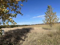 Eladó telek, Mezőörsön 16.5 M Ft / költözzbe.hu