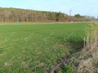 Eladó telek, Sopronban 22 M Ft / költözzbe.hu