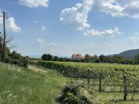 Eladó telek, Szentantalfán 3 M Ft / költözzbe.hu