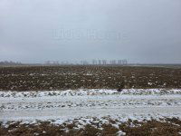 Eladó mezogazdasagi ingatlan