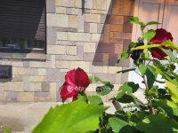 Eladó családi ház, Pusztamonostoron 50.2 M Ft, 4 szobás