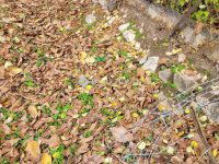 Eladó telek, Pécsváradon 4.5 M Ft / költözzbe.hu