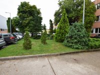 Kiadó iroda, Debrecenben 53 E Ft / hó, 1 szobás