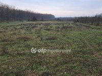 Eladó mezogazdasagi ingatlan, Ebesen 54.9 M Ft