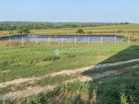 Eladó ipari ingatlan, Ozorán 350 M Ft / költözzbe.hu