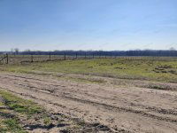 Eladó mezogazdasagi ingatlan, XVII. kerületben 73.73 M Ft