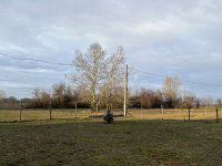 Eladó mezogazdasagi ingatlan