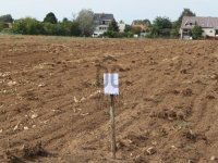 Eladó mezogazdasagi ingatlan, XVI. kerületben 59 M Ft