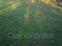 Eladó telek, Bodonhelyen 5.2 M Ft / költözzbe.hu