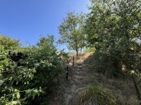 Eladó mezogazdasagi ingatlan, Berhidán 12.5 M Ft, 1 szobás